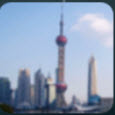 看上海app v1.0 安卓版