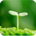 植物护眼动态壁纸app 1.0 安卓版