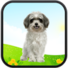 真正的说话的小狗app v1.2 安卓版