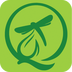 绿蜻蜓网 v1.1.1 安卓版