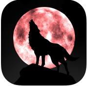 狼图腾app v1.1 安卓版