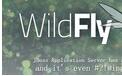 Wildfly(ԭJBoss AS) v11.0.0 ٷ°