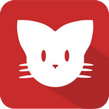 红色猫咪app v1.0 安卓版