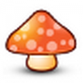 蘑菇新闻app(手机新闻软件) v3.2 安卓版