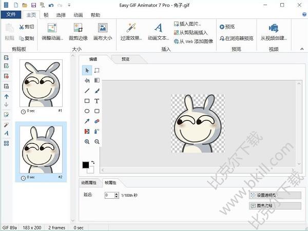 Easy GIF Animator 7 Pro