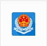 重庆国税电子税务局网上申报系统 V2018 官方电脑版
