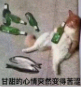 中华别养猫表情包 9枚带文字版 最新版