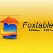 狐表(foxtable) v18.10.9 官方版