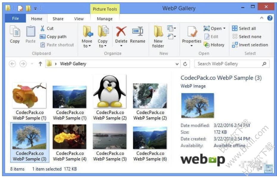 WebP Codec for Windows