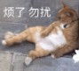 超沙雕猫咪带文字表情包 9枚无水印版 高清版